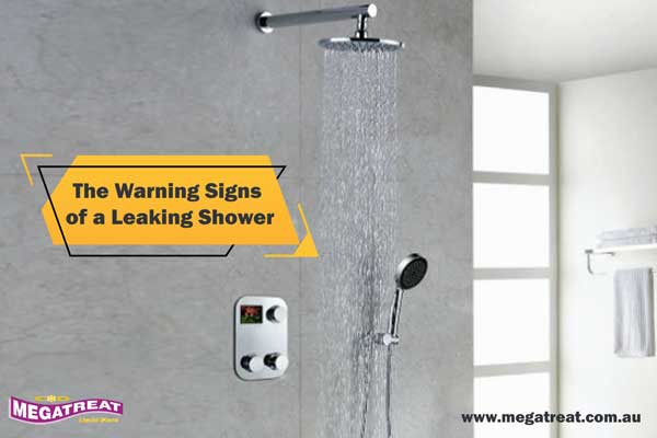 The Warning Signs of a Leaking Shower